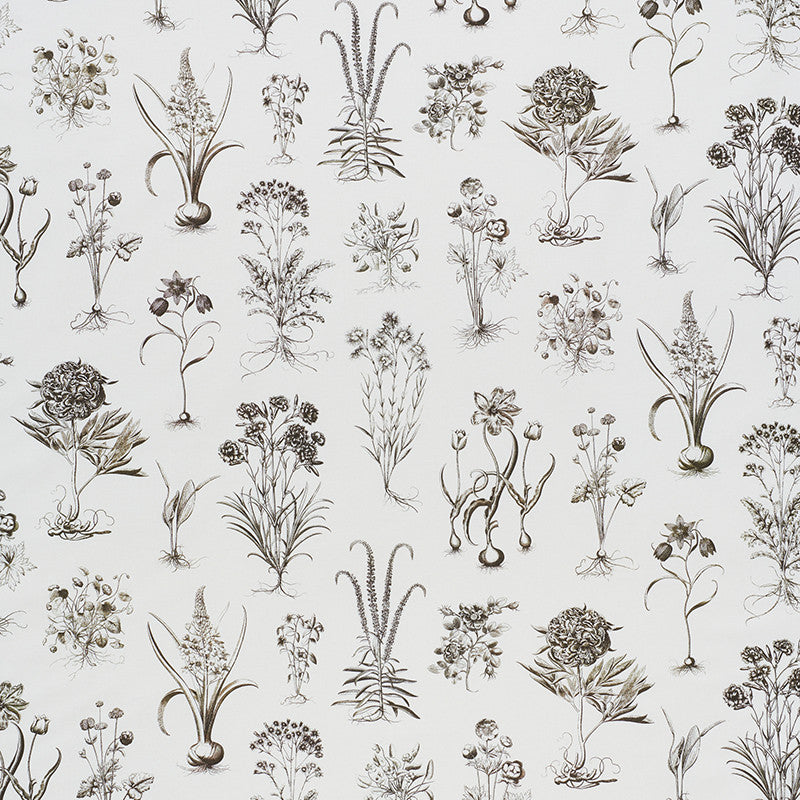 Cabot Botanical Ivory 178751 by Schumacher Fabric Schumacher Fabric Cabot Botanical Ivory 178751Fabric COTTON 100% UNITED KINGDOM </p><p>Repeat: H: HORZ. 53 3/4" (137CM) , V: VERT. 29 7/8" (56CM) 55.5 - Fabric Carolina -