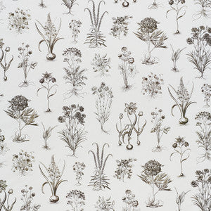 Schumacher Fabric Cabot Botanical Ivory 178751
