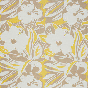 Schumacher Fabric Stevie Neutral 178860