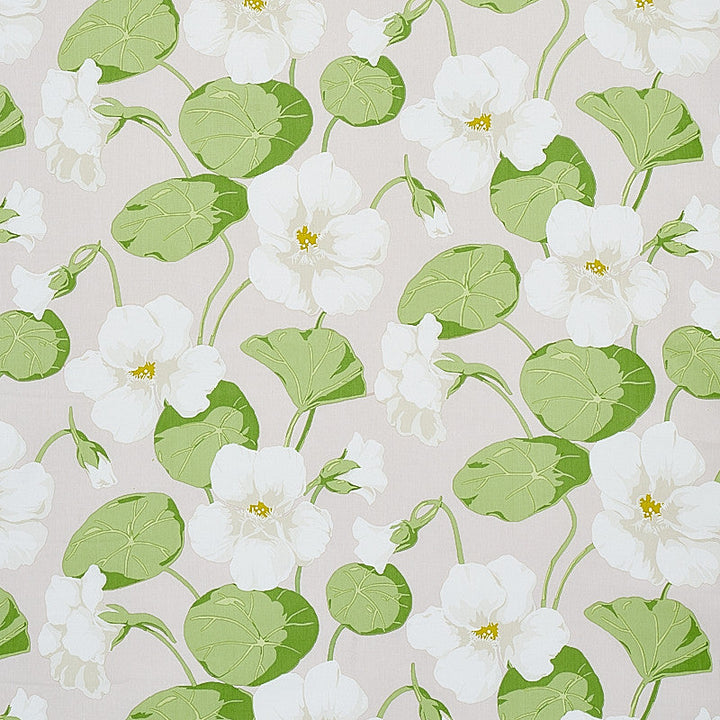 Nasturtium Stone 179492 by Schumacher Designer Fabric SIGNATURE SCHUMACHER COMBED COTTON 100% PAKISTAN 15,000 DOUBLE RUBS </p><p>Repeat: Horizontal: 18" (46CM) and Vertical: 27" (69CM) 54 - Swanky Fabrics -