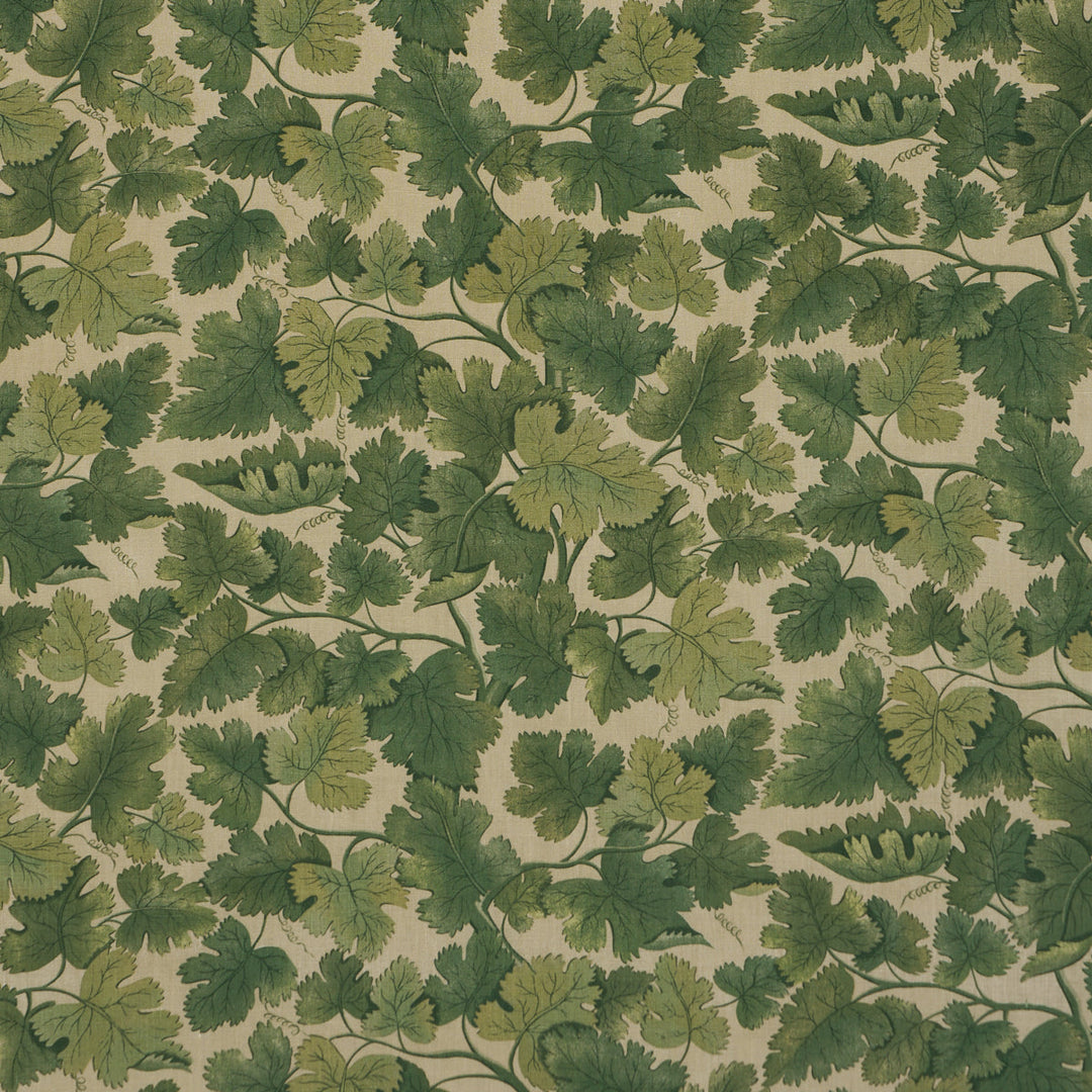 Schumacher Fabric Edinburgh Vine - Moss