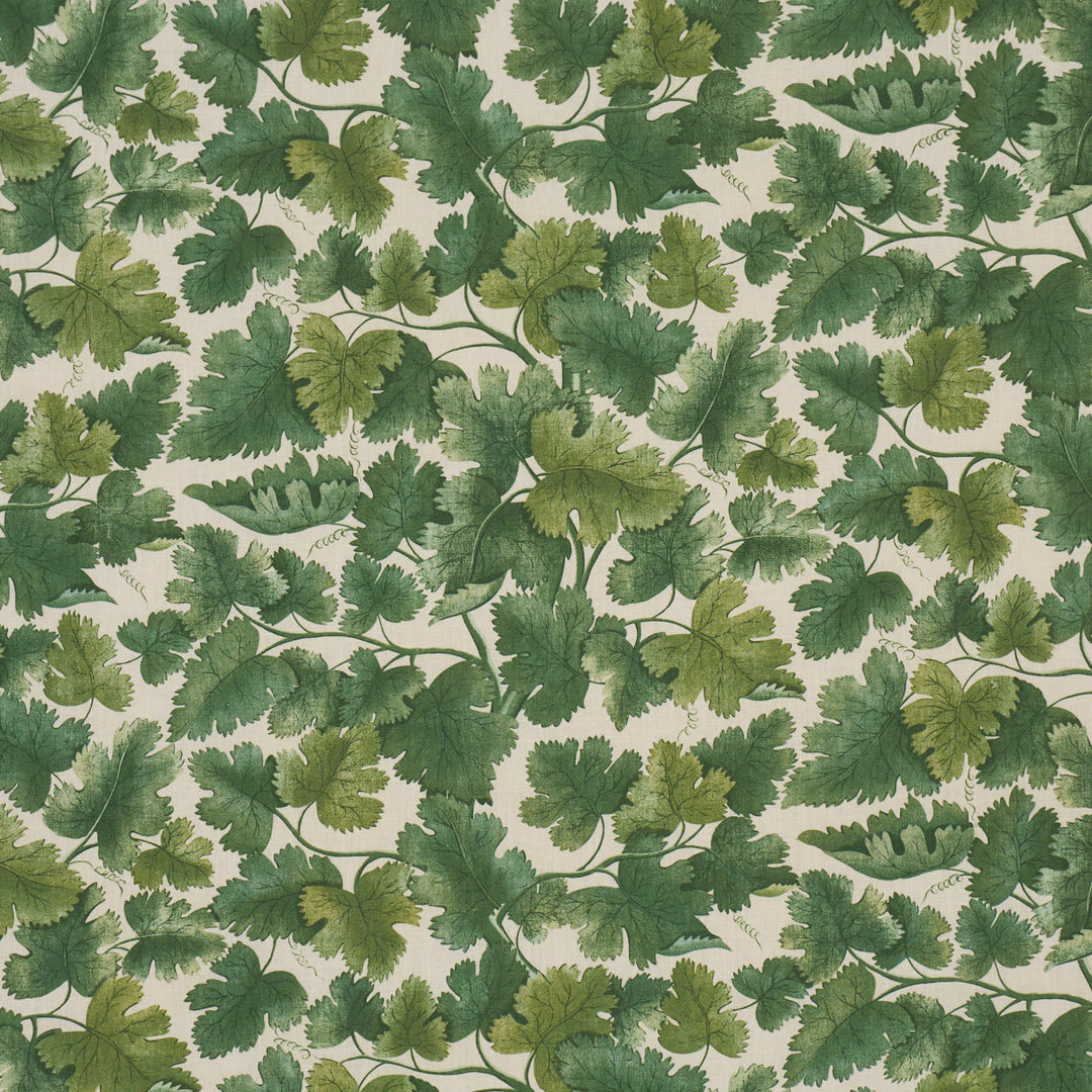 Schumacher Fabric Edinburgh Vine - Forest