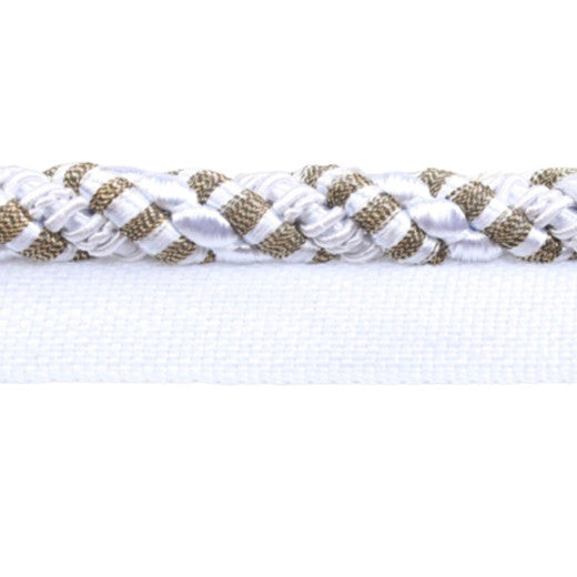 Blossom - Pure White by Europatex Designer Fabric Bouquet Collection 100% Polyester China See Sample Horizontal: N/A and Vertical: N/A 0.63 inches  - Swanky Fabrics -