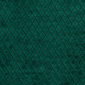 Charlotte Fabric 1911 Spruce