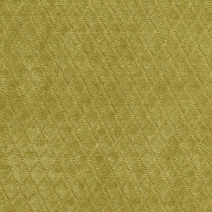 1914 Meadow by Charlotte Designer Fabric Ring book page #21A 100% Woven Polyester Asia Exceeds 100,000 Wyzenbeek Rubs (Heavy Duty) Horizontal: .5" x Vertical: 1" 54 Inches - Swanky Fabrics -