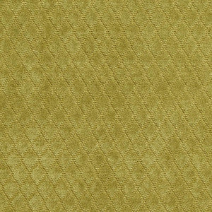 Charlotte Fabric 1914 Meadow