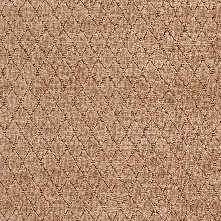 1916 Fawn by Charlotte Designer Fabric Ring book page #21A 100% Woven Polyester Asia Exceeds 100,000 Wyzenbeek Rubs (Heavy Duty) Horizontal: .5" x Vertical: 1" 54 Inches - Swanky Fabrics -