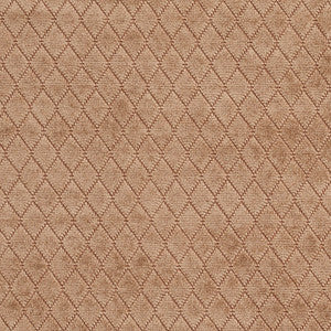 Charlotte Fabric 1916 Fawn