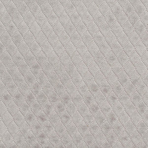 Charlotte Fabric 1920 Platinum