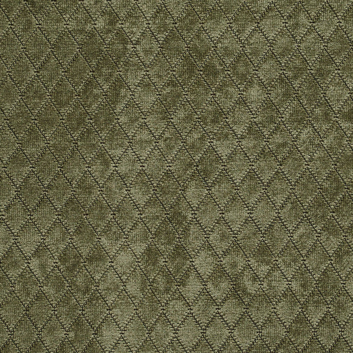 1921 Sage by Charlotte Designer Fabric Ring book page #21A 100% Woven Polyester Asia Exceeds 100,000 Wyzenbeek Rubs (Heavy Duty) Horizontal: .5" x Vertical: 1" 54 Inches - Swanky Fabrics -