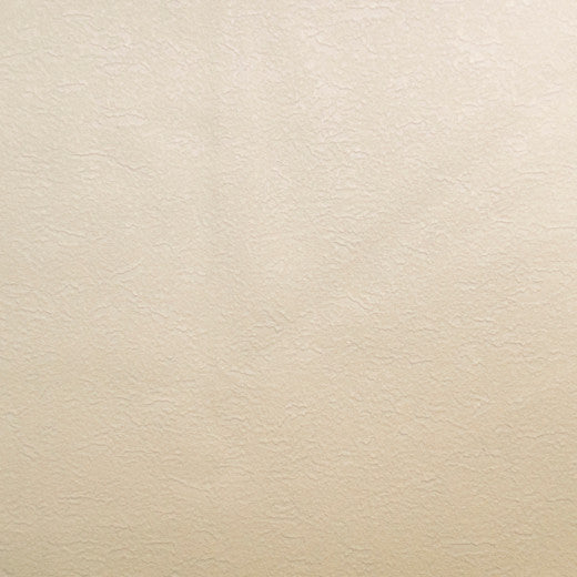 Pioneer - 01 by Europatex Designer Fabric Pioneer 55% PVC, 40% Polyester, 5% Polyurethane China See Sample Horizontal: N/A and Vertical: N/A 55.00 inches  - Swanky Fabrics -