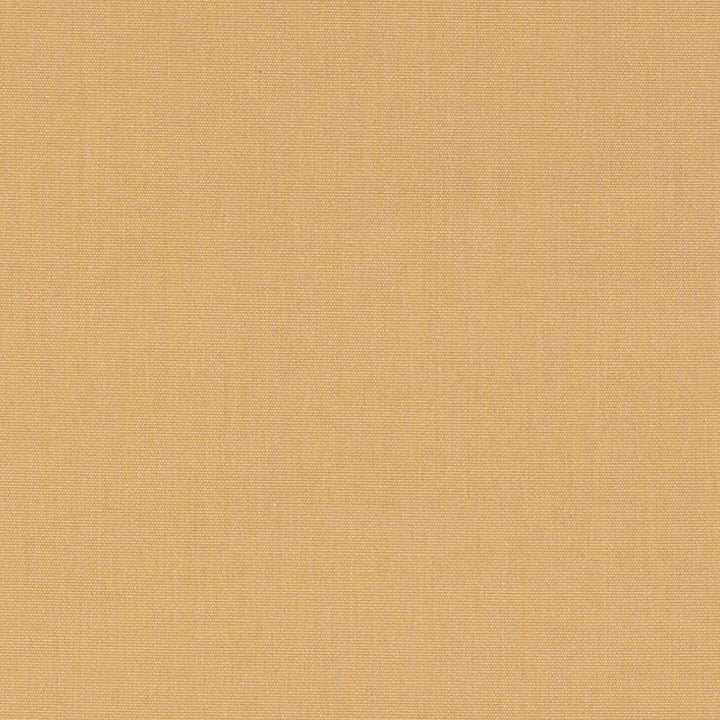 Canvas Harvest 14165-0000 by Sunbrella Designer Fabric 100% Sunbrella® Acrylic 45000 Horizontal: and Vertical: 54 in. - Swanky Fabrics -