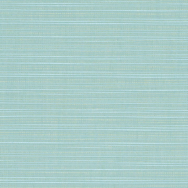 8067 Dupione Celeste by Sunbrella Designer Fabric Sunbrella Elements - Dupione Sunbrella® Acrylic, Sunbrella® Polyester, Sunbrella® Non-Phthalate PVC USA or Imported 5-Year Horizontal: and Vertical: 60 yd. 54 in. - Swanky Fabrics -