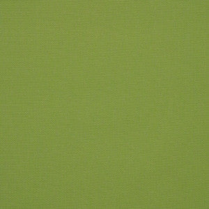 Sunbrella Fabric 54011 77 Rain Canvas Ginkgo