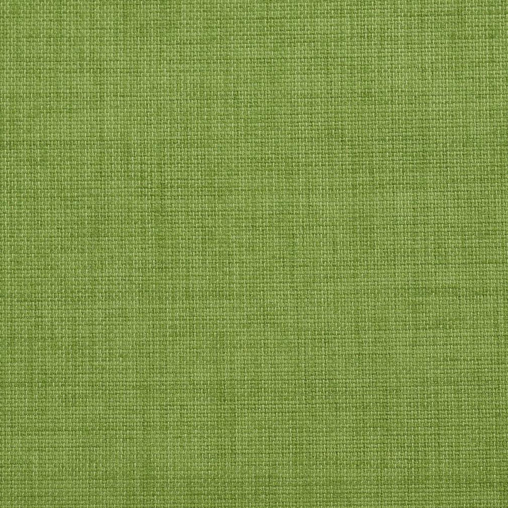 2000 Grass by Charlotte Designer Fabric All Season Vol. 2 100% Woven Acrylic Made In USA Exceeds 50,000 Wyzenbeek Rubs (Heavy Duty) No Repeat 54 Inches - Swanky Fabrics -