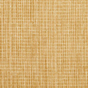 Charlotte Fabric 20050-01