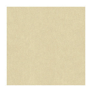 Lee Jofa Fabric Mesa Powder