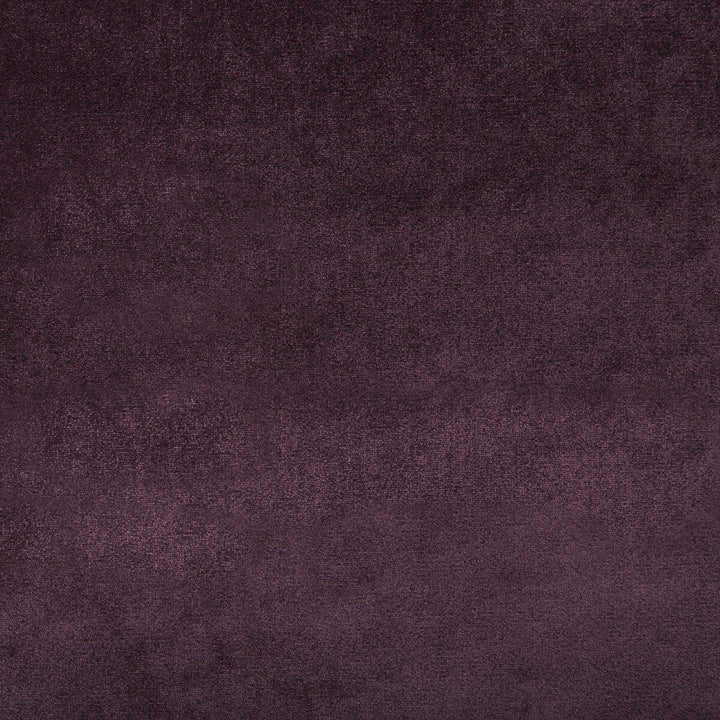 Duchess Velvet Purple by Lee Jofa Fabric Lee Jofa Fabric Duchess Velvet PurpleFabric SILK - 51%;COTTON - 49% Italy </p><p>Repeat: H: 0, V: 0 55 - Fabric Carolina -