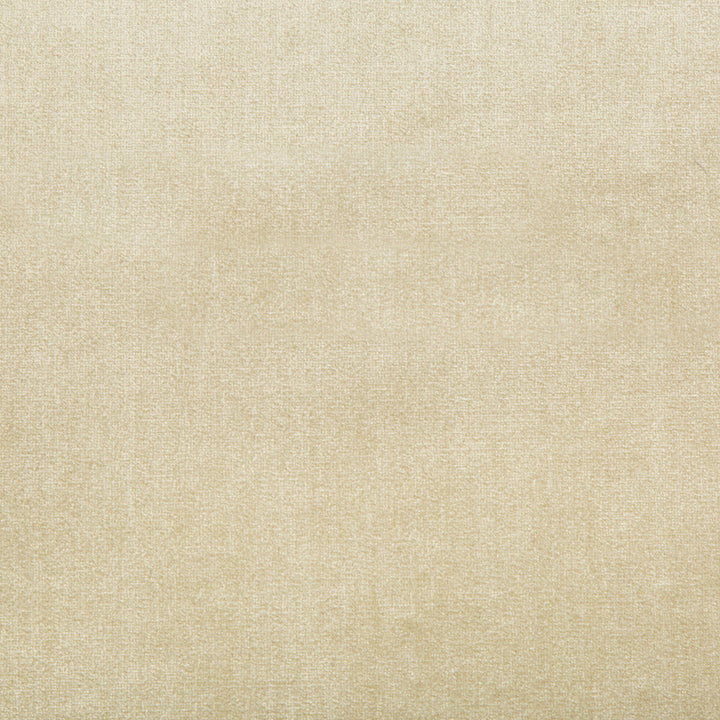Duchess Velvet Beige by Lee Jofa Designer Fabric SILK - 51%;COTTON - 49% Italy MEDIUM Horizontal: 0 and Vertical: 0 55 - Swanky Fabrics -