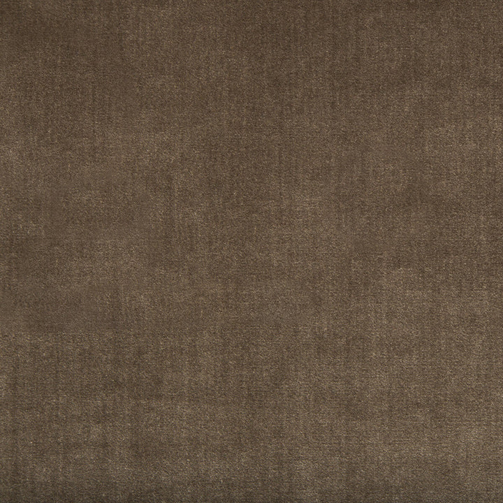 Duchess Velvet Mink by Lee Jofa Fabric Lee Jofa Fabric Duchess Velvet MinkFabric SILK - 51%;COTTON - 49% Italy </p><p>Repeat: H: 0, V: 0 55 - Fabric Carolina -