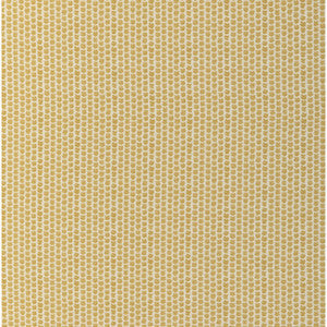 Lee Jofa Fabric Kaya Ii Maize 2017224.40.0