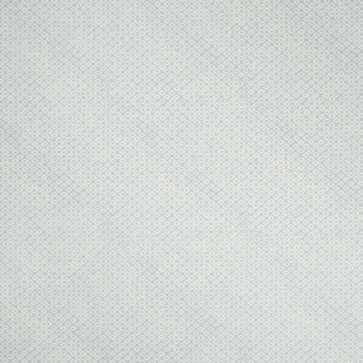 Marie Print Sky by Lee Jofa Designer Fabric SUZANNE KASLER THE RIVIERA COLLECTION COTTON - 54%;LINEN - 46% India Horizontal: 16.52 and Vertical: 16.13 55 - Swanky Fabrics -