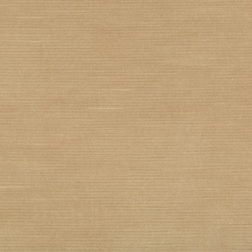 Gemma Velvet Sand by Lee Jofa Fabric Lee Jofa Fabric Gemma Velvet SandFabric GEMMA PERFORMANCE VELVET POLYESTER - 100% Italy </p><p>Repeat: H: 0, V: 0 55 - Fabric Carolina -