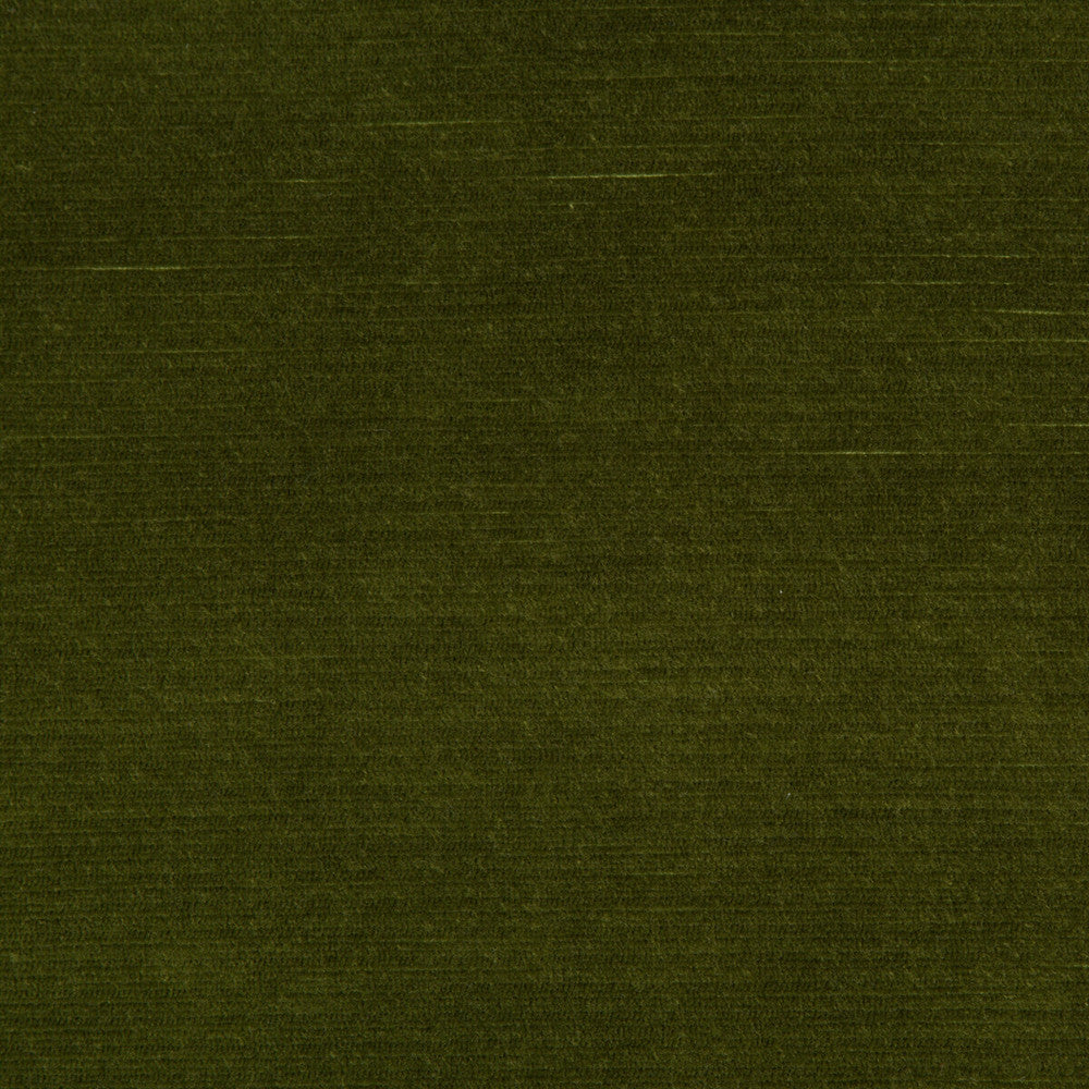 Gemma Velvet Moss by Lee Jofa Fabric Lee Jofa Fabric Gemma Velvet MossFabric GEMMA PERFORMANCE VELVET POLYESTER - 100% Italy </p><p>Repeat: H: 0, V: 0 55 - Fabric Carolina -
