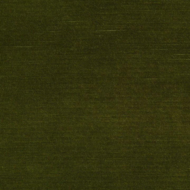 Gemma Velvet Moss by Lee Jofa Designer Fabric GEMMA PERFORMANCE VELVET POLYESTER - 100% Italy HEAVY Horizontal: 0 and Vertical: 0 55 - Swanky Fabrics -
