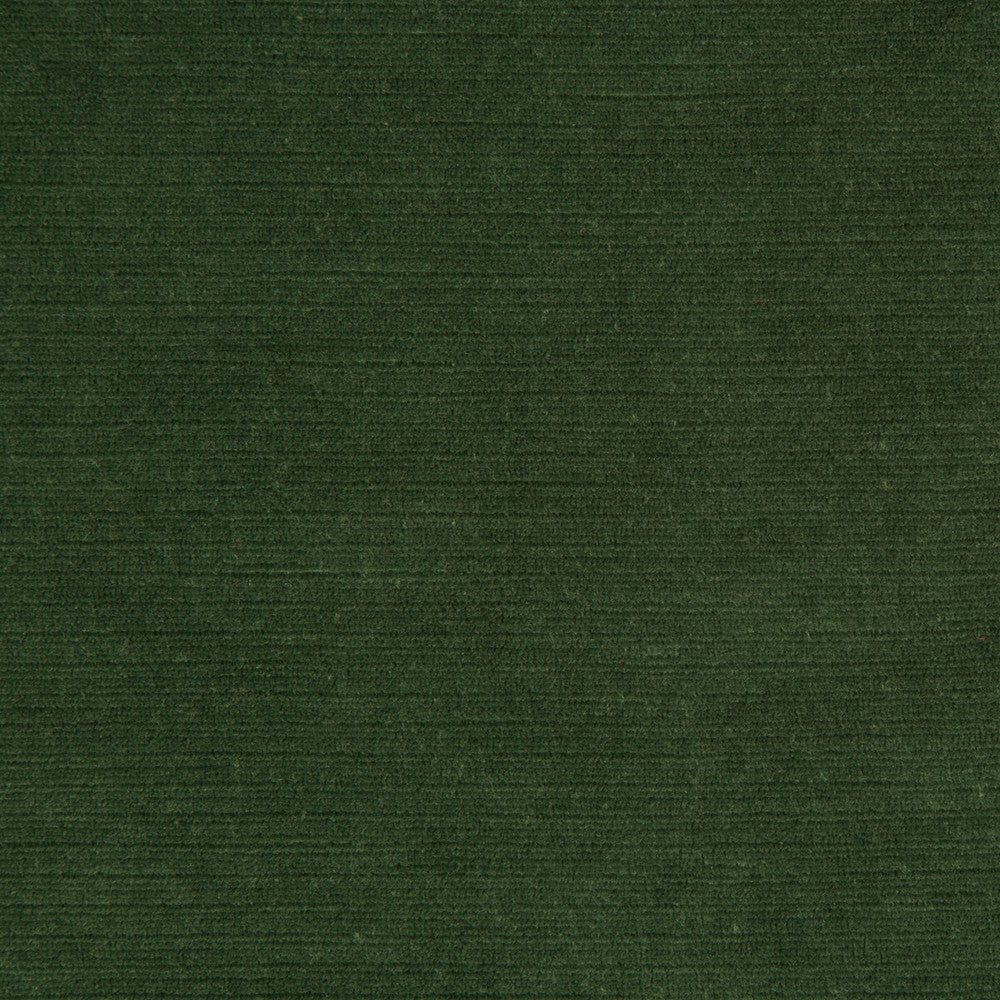 Gemma Velvet Lichen by Lee Jofa Designer Fabric GEMMA PERFORMANCE VELVET POLYESTER - 100% Italy HEAVY Horizontal: 0 and Vertical: 0 55 - Swanky Fabrics -