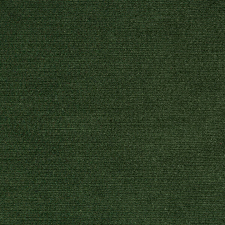 Gemma Velvet Lichen by Lee Jofa Designer Fabric GEMMA PERFORMANCE VELVET POLYESTER - 100% Italy HEAVY Horizontal: 0 and Vertical: 0 55 - Swanky Fabrics -