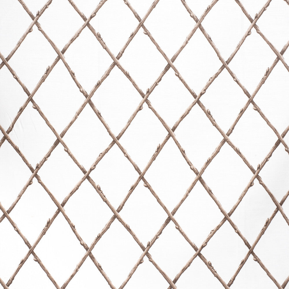 Bare Twig Trellis Bro/Whi by Lee Jofa Fabric Lee Jofa Fabric Bare Twig Trellis Bro/WhiFabric PAOLO MOSCHINO FABRICS LINEN - 67%;COTTON - 33% United Kingdom </p><p>Repeat: H: 22.05, V: 15.35 53.94 - Fabric Carolina -