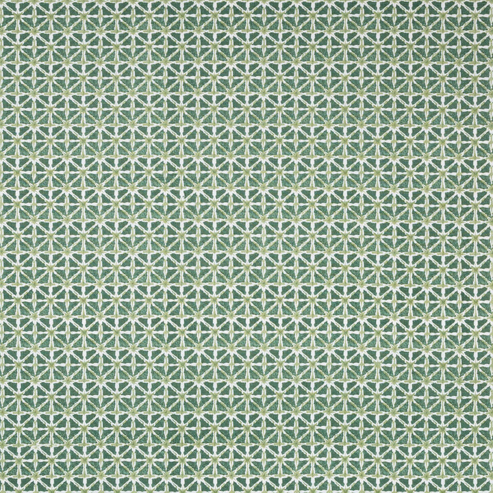 Sylvan Print Aloe by Lee Jofa Designer Fabric AVONDALE LINEN - 100% India Horizontal: 2.24 and Vertical: 2.16 54.33 - Swanky Fabrics -