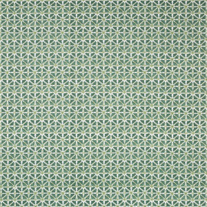 Lee Jofa Fabric Sylvan Print Aloe