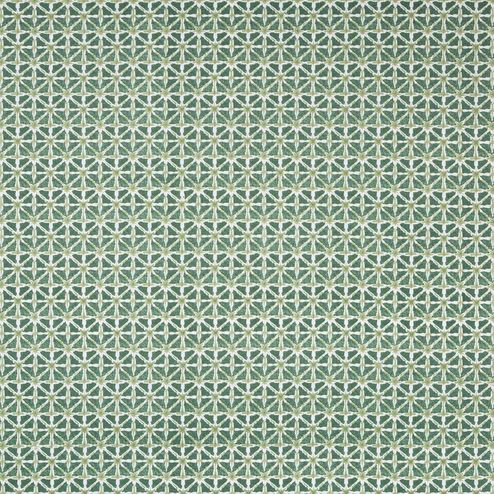 Sylvan Print Aloe by Lee Jofa Designer Fabric AVONDALE LINEN - 100% India Horizontal: 2.24 and Vertical: 2.16 54.33 - Swanky Fabrics -