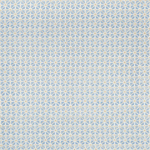 Lee Jofa Fabric Sylvan Print Sky