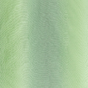 Lee Jofa Fabric Horizonte Palm