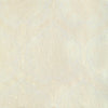 Lee Jofa Fabric Hayes Embroidery Ivory