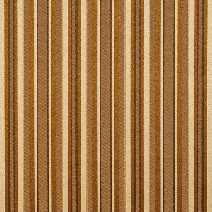 20230-01 by Charlotte Designer Fabric Galleria 66% Polyester, 44% Rayon Taiwan Exceeds 44,000 Wyzenbeek Rubs (Heavy Duty) </p><p>Repeat: Horizontal: 7" 54 Inches - Swanky Fabrics -