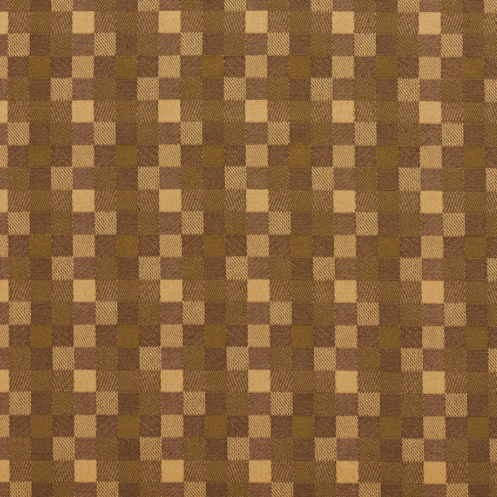 20240-01 by Charlotte Designer Fabric Galleria 57% Cotton, 43% Polyester Taiwan Exceeds 40,000 Wyzenbeek Rubs (Heavy Duty) </p><p>Repeat: Horizontal: 1.75" x Vertical: 1.75" 54 Inches - Swanky Fabrics -
