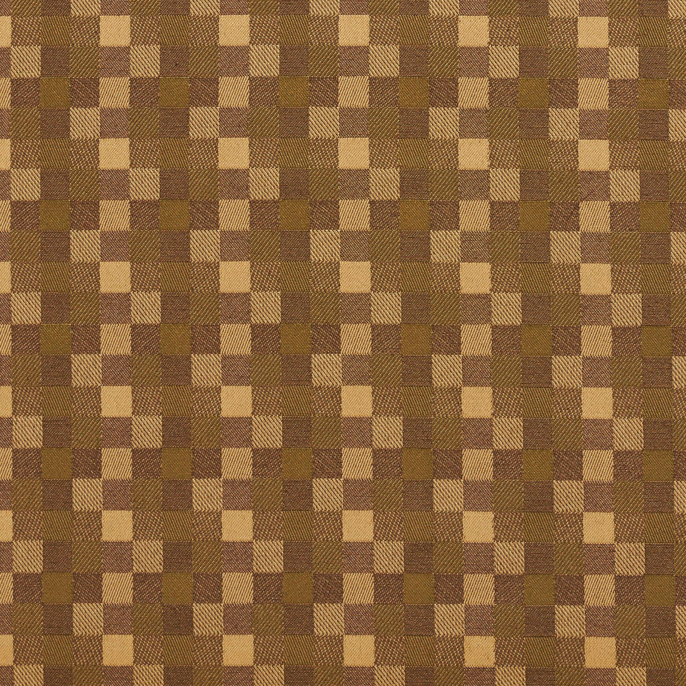 20240-01 by Charlotte Designer Fabric Galleria 57% Cotton, 43% Polyester Taiwan Exceeds 40,000 Wyzenbeek Rubs (Heavy Duty) Horizontal: 1.75" x Vertical: 1.75" 54 Inches - Swanky Fabrics -