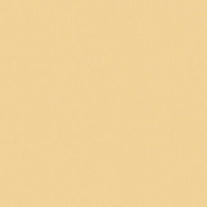 Lee Jofa Fabric Nuova Vita Linen Sand 2024109.1614.0