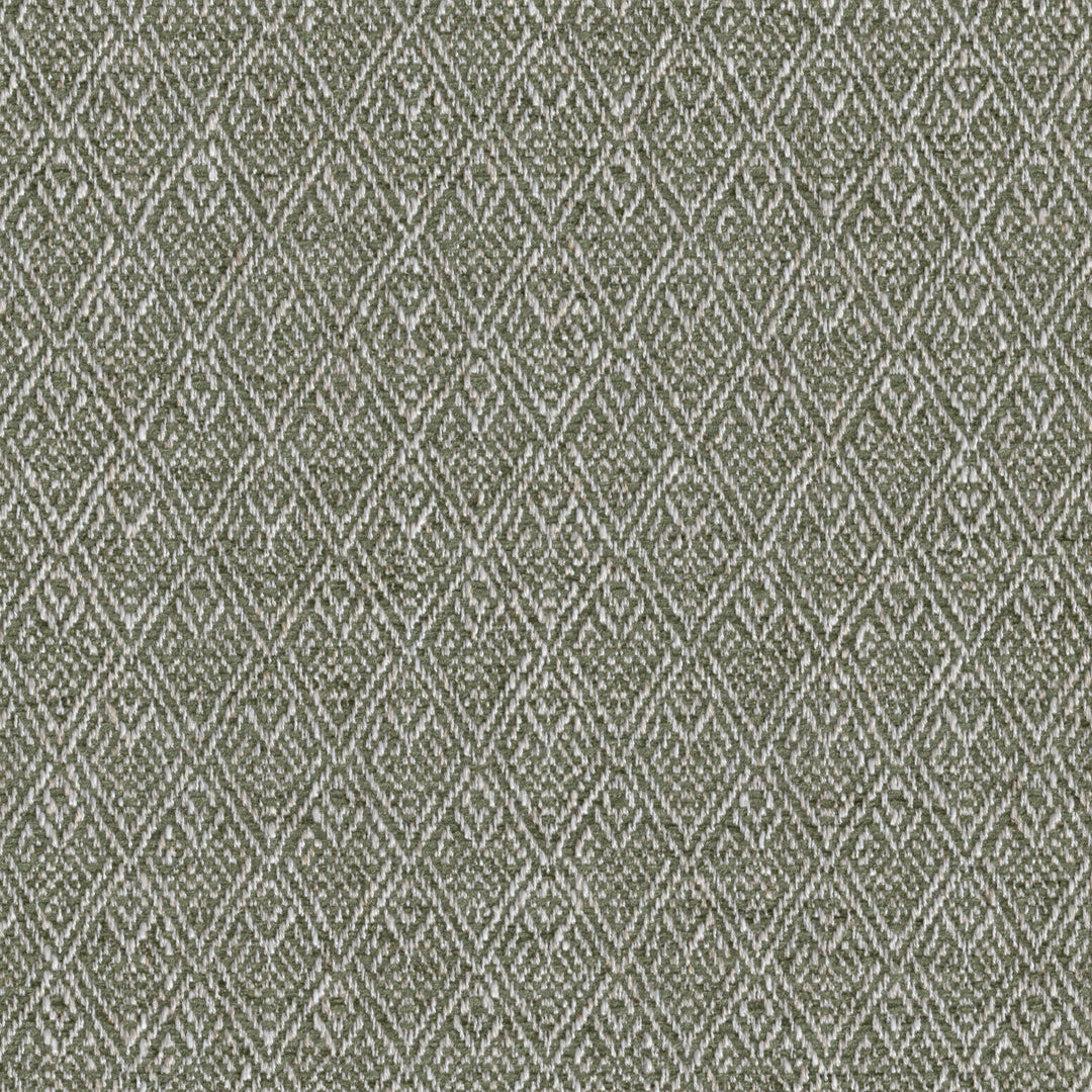 Lee Jofa Fabric Trellis Weave - Moss