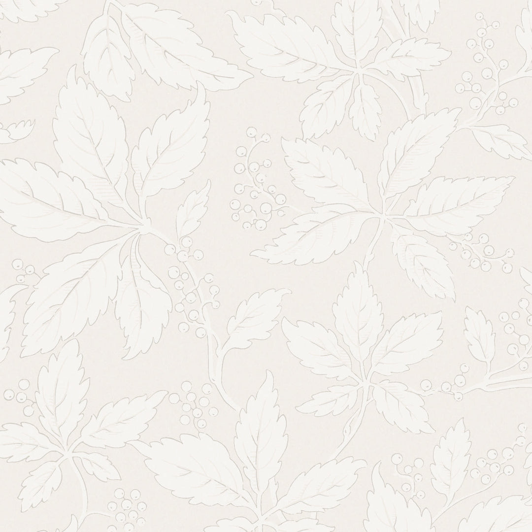 Schumacher Wallcovering Vildvin - Bone
