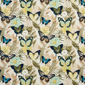 Charlotte Fabric 20470-02