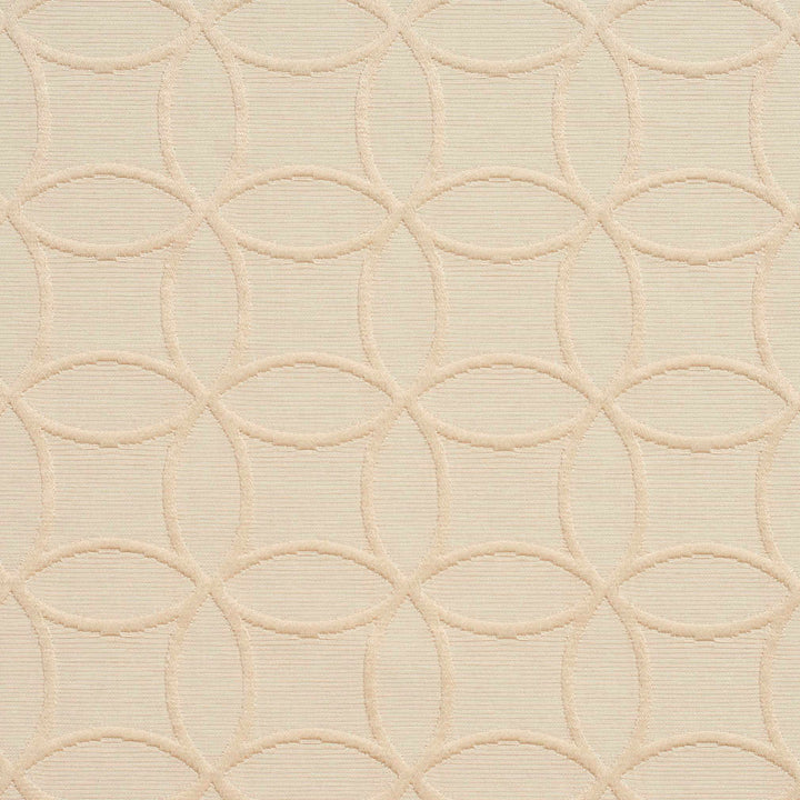 20610-05 by Charlotte Designer Fabric Millennium 65% Cotton, 35% Polyester Asia Exceeds 60,000 Wyzenbeek Rubs (Heavy Duty) Horizontal: 3" x Vertical: 3" 54 Inches - Swanky Fabrics -