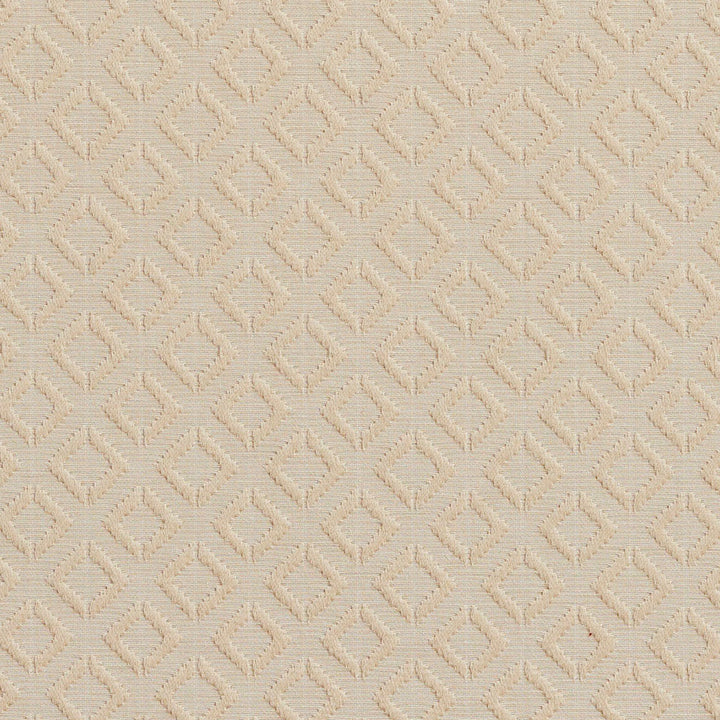 20640-05 by Charlotte Designer Fabric Millennium 65% Cotton, 35% Polyester Asia Exceeds 60,000 Wyzenbeek Rubs (Heavy Duty) Horizontal: 1.5" x Vertical: 1.5" 54 Inches - Swanky Fabrics -