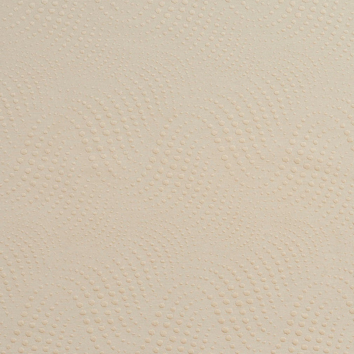 20650-05 by Charlotte Designer Fabric Millennium 65% Cotton, 35% Polyester Asia Exceeds 60,000 Wyzenbeek Rubs (Heavy Duty) Horizontal: 7.5" x Vertical: 8.5" 54 Inches - Swanky Fabrics -