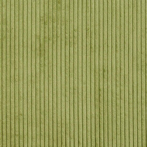 Charlotte Fabric 20700-01