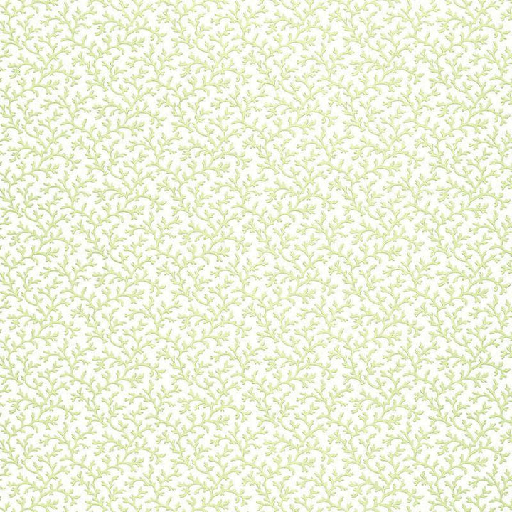 Coral Vine Aloe 5004412 by Schumacher Designer Wallpaper Simply Charming 4.5" - Swanky Fabrics -